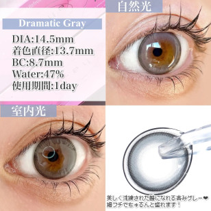 a-eye 1 Day Dramatic Gray ワンデーリフレア エーアイ ドラマティックグレー 